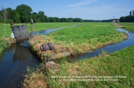 Abb.4: Zwischen Thomas-Kolb-Brücke und Gerasmühle führen 5,2 km Gräben das begehrte Naß zu den Wiesen