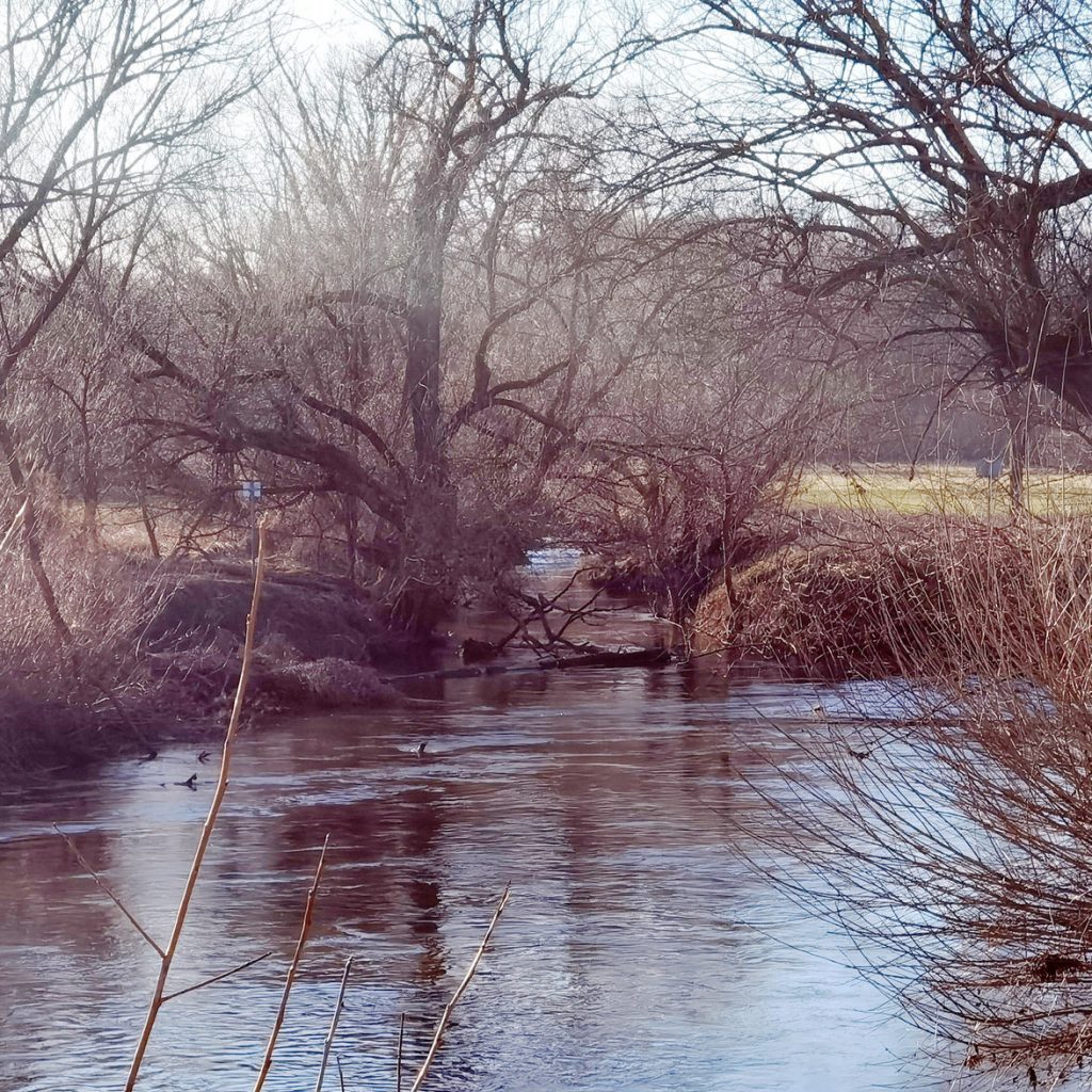 Von hinten kommt die Bibert herein
