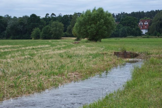 Wässerwiesen Unterer Grund Wolkersdorf gestauter Wässerrgraben