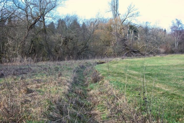 Wässergraben von Gras überwuchert