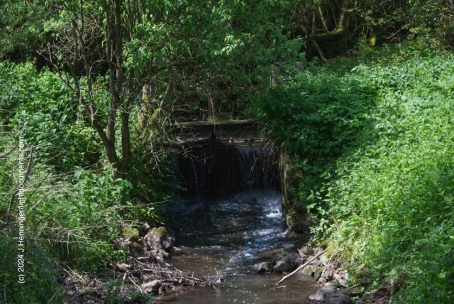 Wehr am Zwieselbach Wehr am Zwieselbach