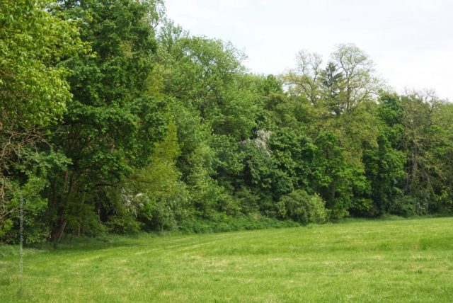 Das Arboretum - von außen wie ein dichter Wall