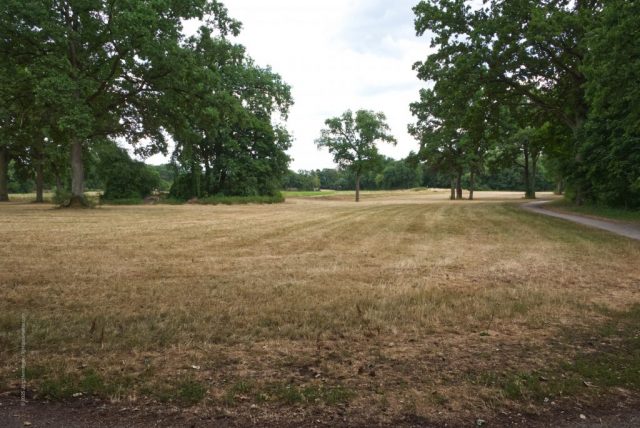 Heutige Wiesen- und Ackerfläche im Rednitz-Viereck