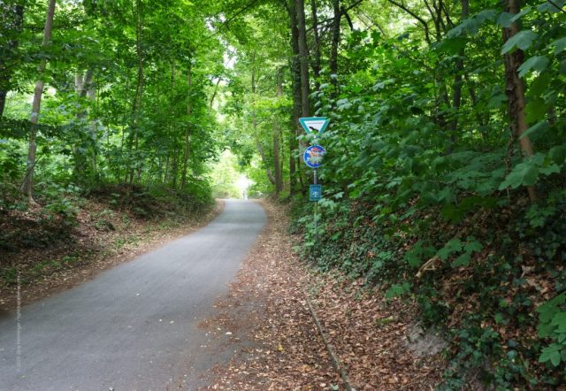 Faberpark Weg in den Faberpark