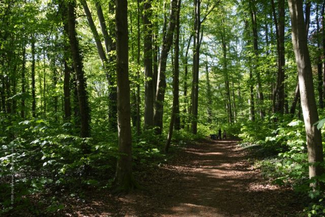 Faberpark