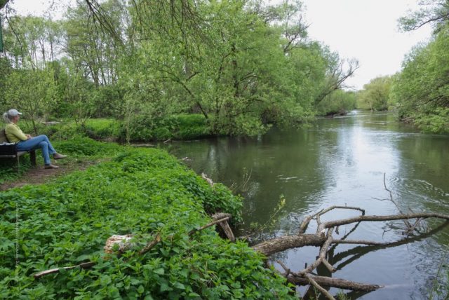 Mündung der Schwabach (l.) in die Rednitz (r.)