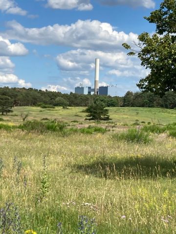 Hainberg-Magerrasen, im Hintergrund das Kraftwerk - ©MS Hainberg-Magerrasen, im Hintergrund das Kraftwerk ©MS