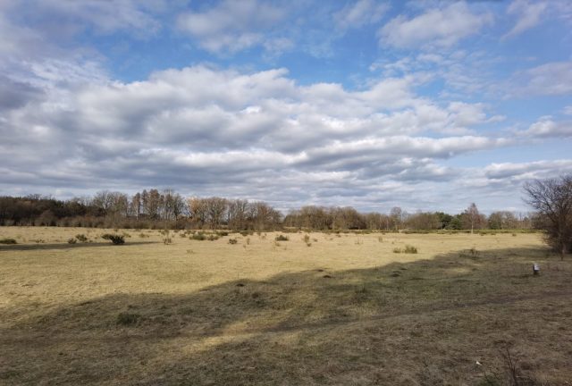 weit und breit ©St.S