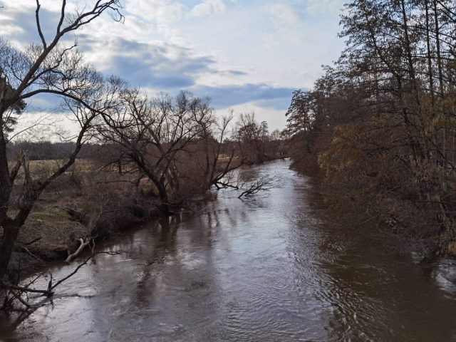 Rednitz gen Norden, vom Steg aus ©St.S