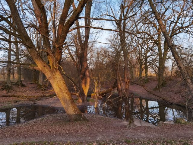 In der Senke sammelt sich das Wasser ©St.S