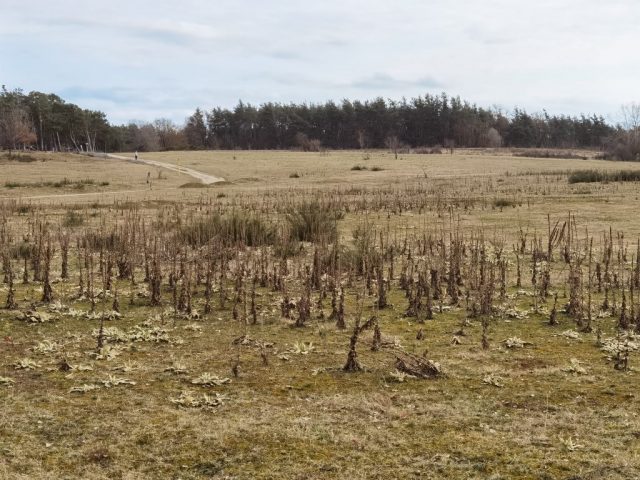 Nach der Schneeschmelze ©St.S