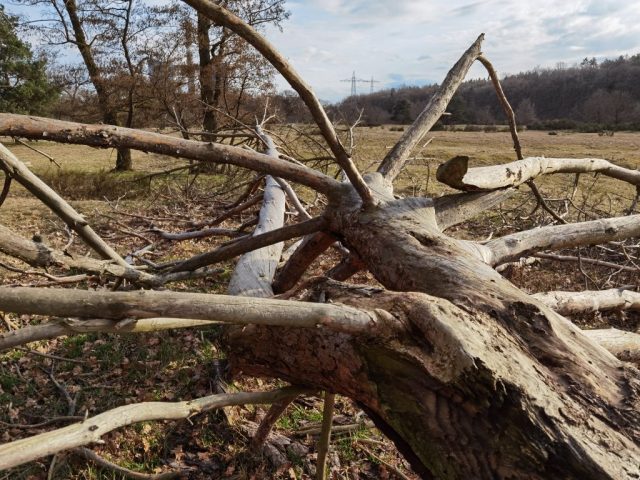 liegengelassen ©St.S