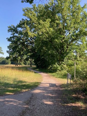 Rad- und Fußweg entlang der Rednitz