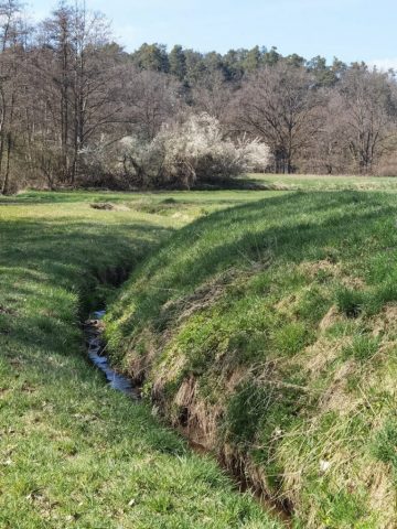 Krottenbach kommt vom Westen ©St.S