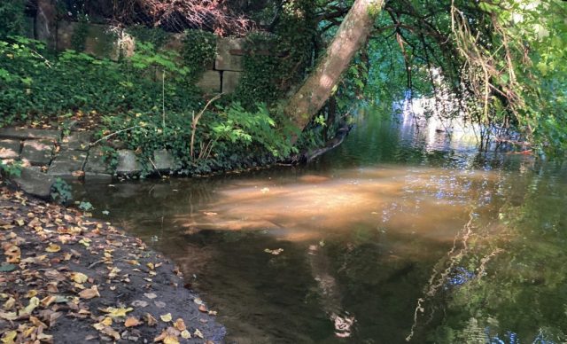 Einmündung des Klingengrabens ©MS