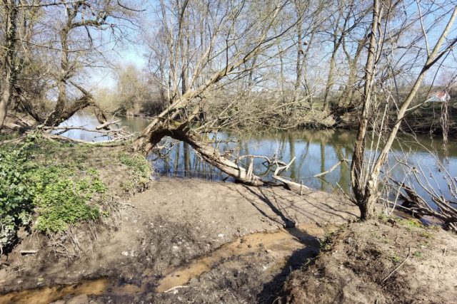 Krottenbachmündung in die Rednitz ©St.S