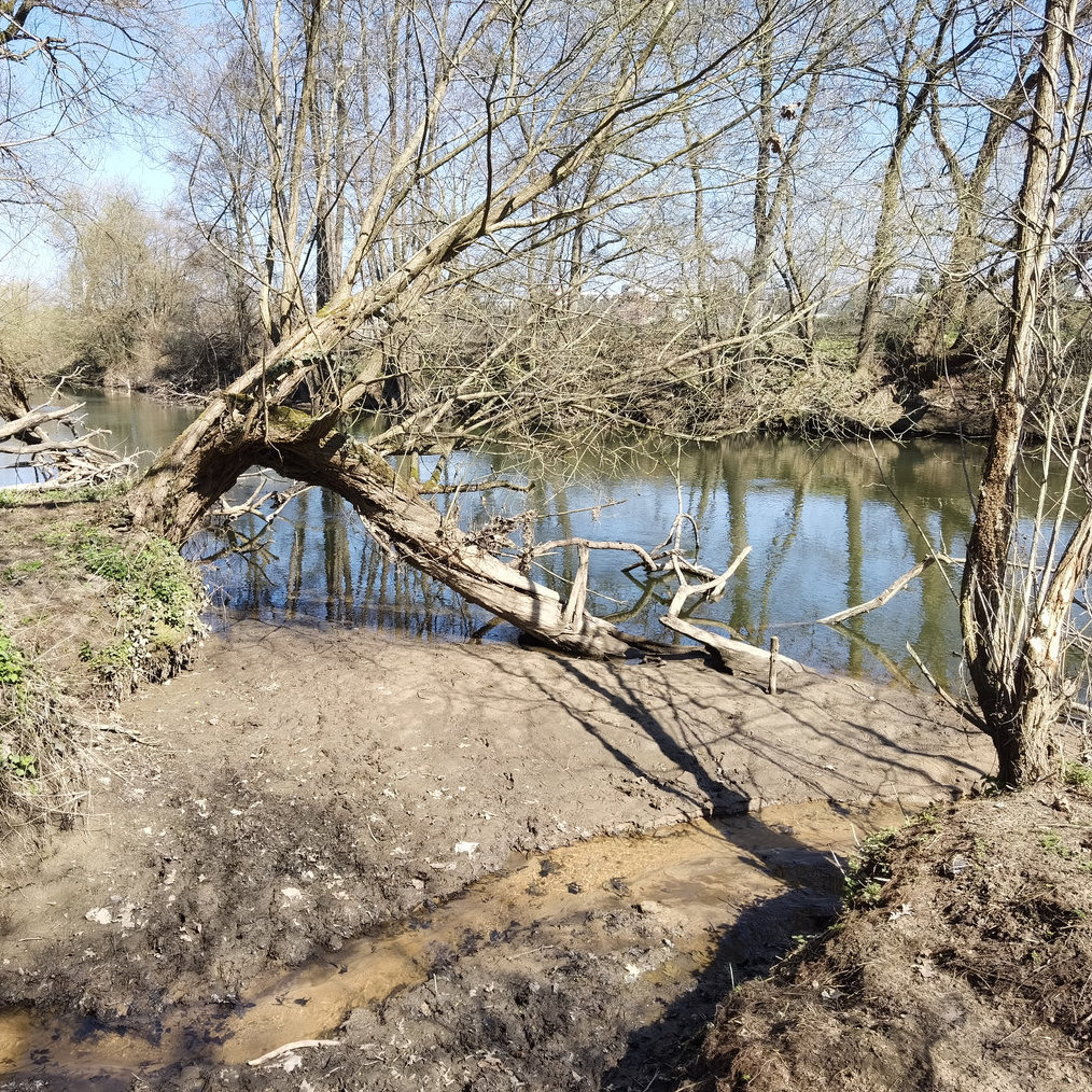 DIe Mündung des Krottenbach ©St.S