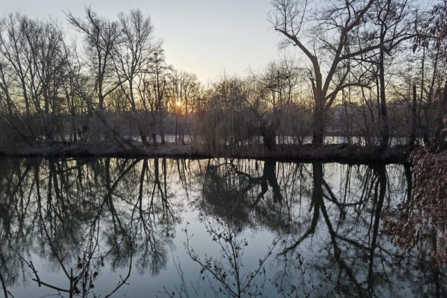 Rednitz vorne, Waldmannsweiher hinten ©St.S