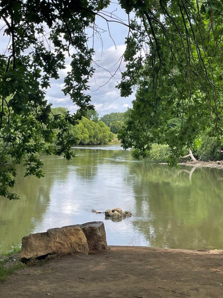 Idyllische Pegnitzmündung