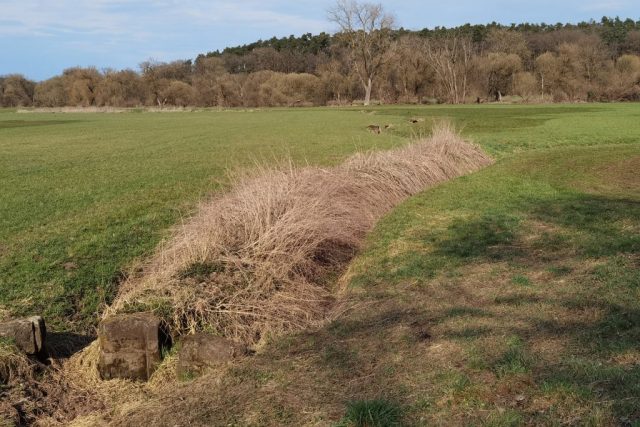 Wässerwiesen-Kanal