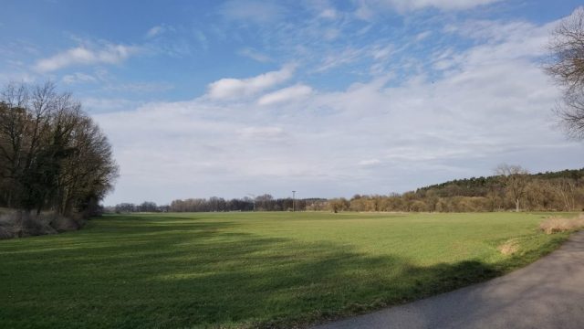 Wässerwiesen