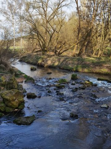 Ein letztes Sprudeln der Schwabach
