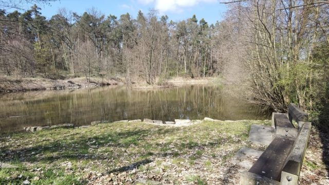 Unterer Oedweiher mit Insel und Bänken