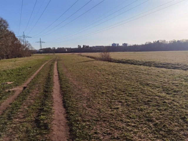 Wiese nördlich der Fernabrücke